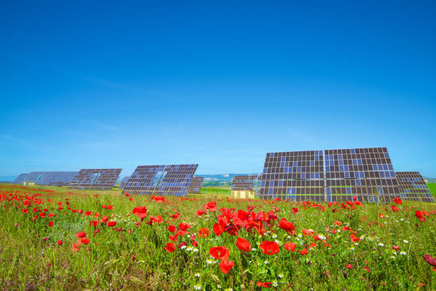 Photovoltaic panels for renewable electrical energy production in Zaragoza Province, Spain.