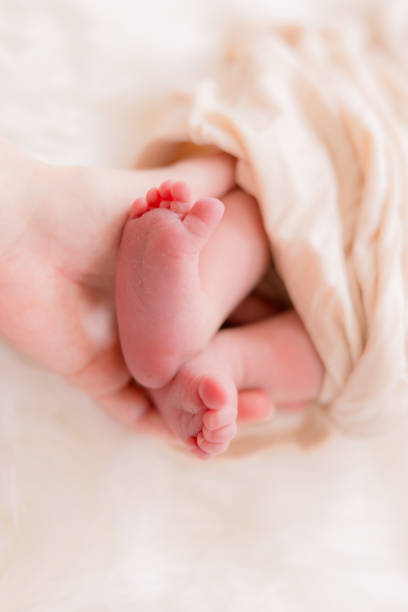 istock A newborn baby is wrapped up in a blanket 2154877795