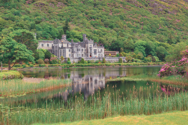 Clifden - Ireland. May 21, 2024: Aerial view of Clifden Castle ruins in Ireland, surrounded by rolling green hills and winding paths. The ivy-covered ruins stand amidst a vibrant landscape