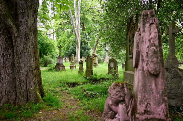 istock Old weathered cemetery with gravestones that are at least 130 years old 2154884032