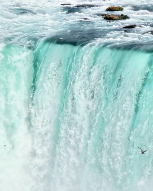istock Canadian Horseshoe Falls Crest 2154885780