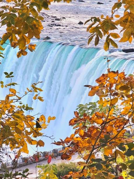 istock Horseshoe Falls Yellow Autumn Leaves 2154886043