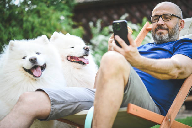 istock Mature adult man with samoyed dogs 2154886183
