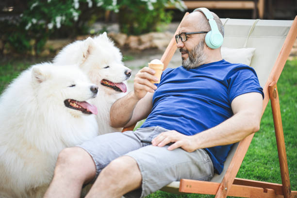 mature adult man with samoyed dog
