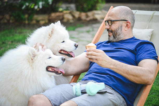 mature adult man with samoyed dog