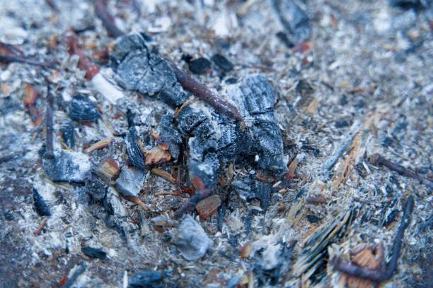 istock Extinguished coals and ashes in the grill as a natural background. 2154890436