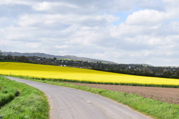 istock country road curve 2154892090