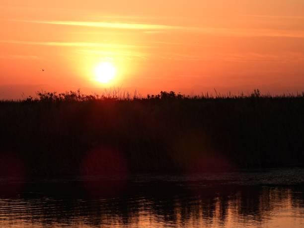 istock Sunset in the Everglades 2154892835