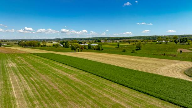 istock Panoramic Aerial View of Diverse Crop Fields 2154893921