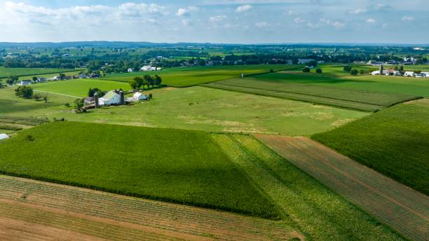 istock Expansive Farmland with Rows of Crops and Barns 2154894076