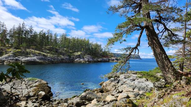 istock Hidden cove: idyllic beach and a rocky islet framed by rugged cliffs
and rocks on a sunny day with Clouds in the blue sky 2154895500