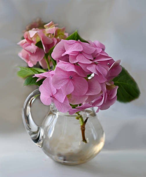 Flower arrangement