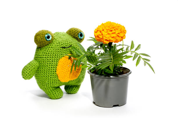 The frog is a soft knitted wool toy made of wool on a white background