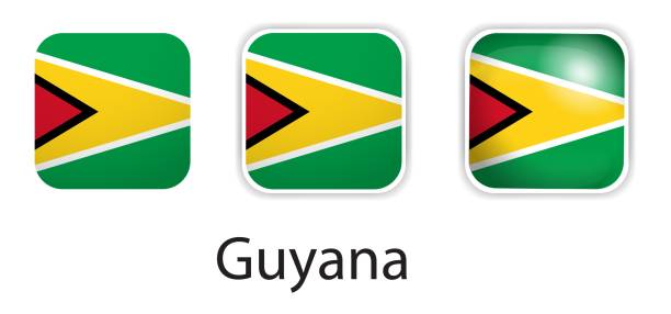 Guyana flag vector icons set in the shape of rounded square