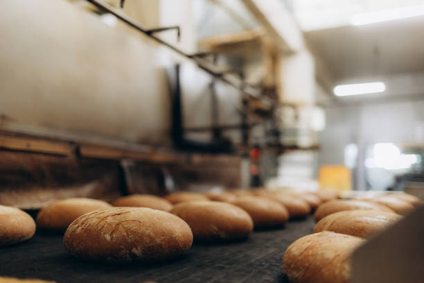 istock Fresh buns from the oven. Conveyor with bread. Baking bread. Workshop for production of bread. White bread in the oven. Hot buns. Confectionery. 2154900385