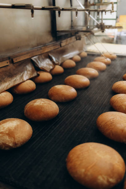 istock Fresh buns from the oven. Conveyor with bread. Baking bread. Workshop for production of bread. White bread in the oven. Hot buns. Confectionery. 2154900387