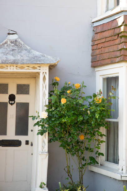 istock The beautiful old town of Rye 2154901165