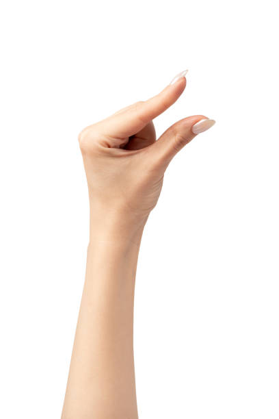 istock Woman hands  isolated on a white background. 2154902214