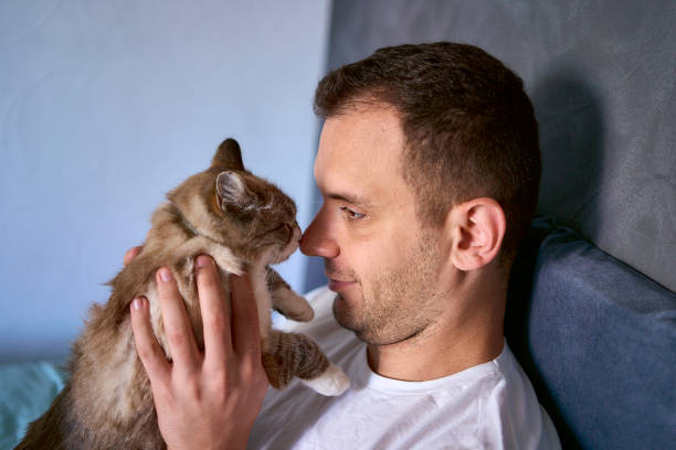 istock a  young man pet a cat in bed, morning routine 2154906931