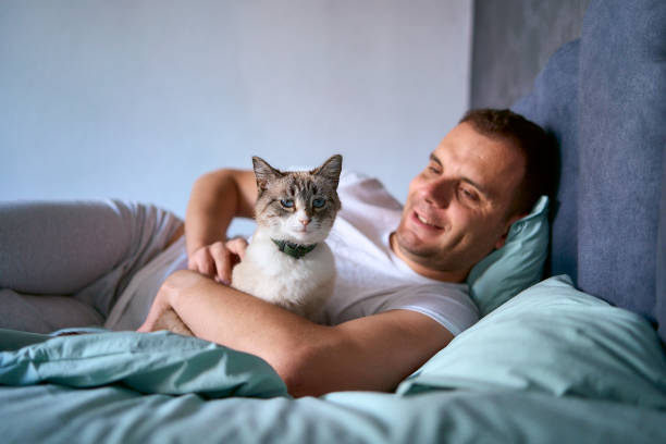 istock a  young man pet a cat in bed, morning routine 2154906950