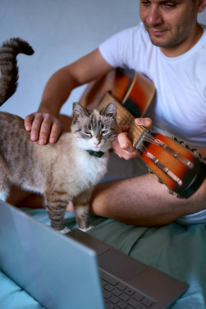 istock a  young man is learning to play the guitar at home using online lessons on a laptop, the cat demands attention and interferes 2154906968