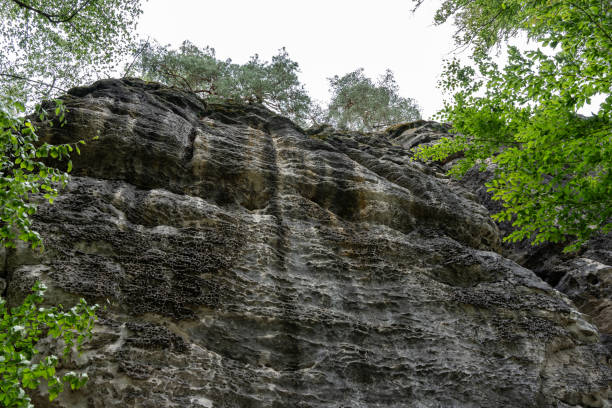 istock A rocky cliff with trees growing on it 2154910991