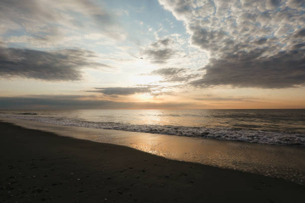 A beautiful sunrise at the beach. Shot with a Canon 5D Mark IV.
