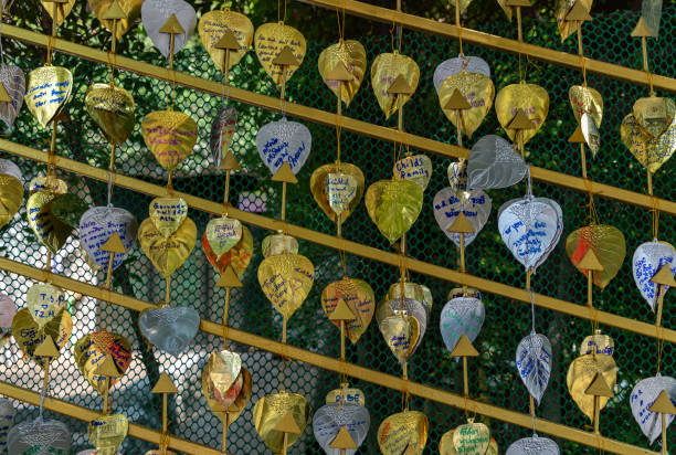 Bangkok, Thailand - March 11, 2024: A picture of multiple bodhi golden leaves, a symbol of enlightenment in Buddhism.