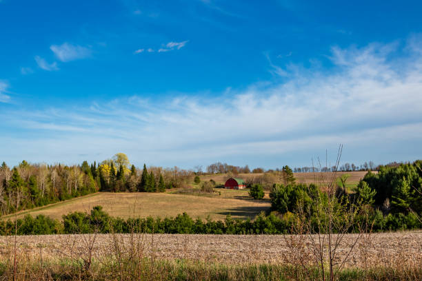Driving alongside the highways of Oregon, many farmlands can be observed.