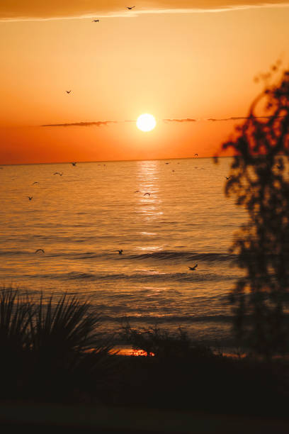 A beautiful sunrise at the beach. Shot with a Canon 5D Mark IV.
