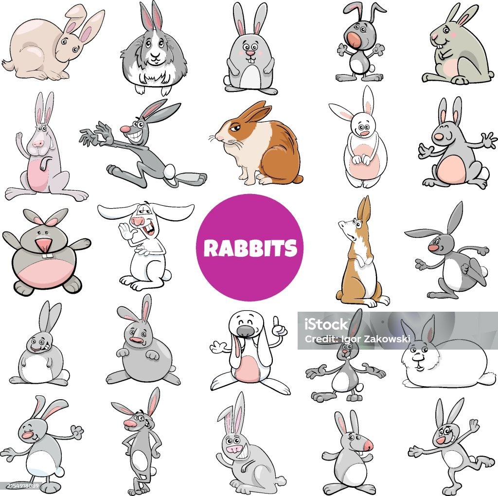 Cartoon Rabbit's Names Funny Cartoon Rabbits Animal Characters Big Set Stock Illustration ...