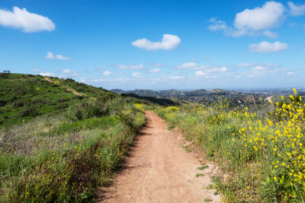 Hiking Trail Orange County California