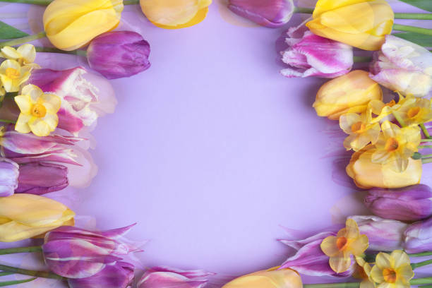 istock Spring flowers on purple background 2154920441