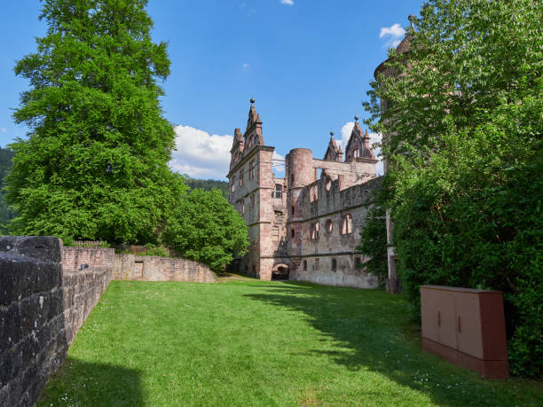 istock Monastery ruins, Hirsau Calw Germany 2154925654
