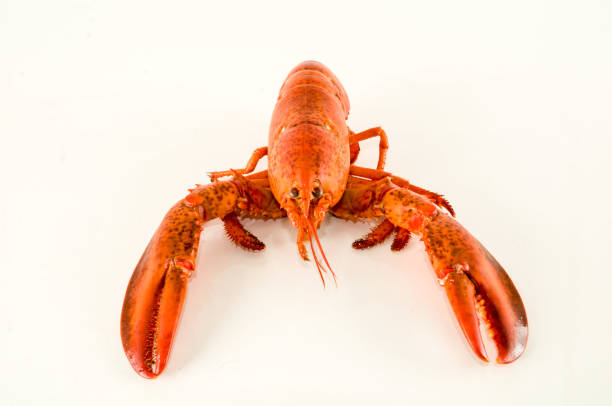 Bolied crayfish