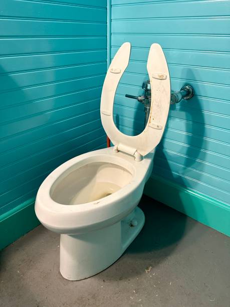 istock Toilet with the seat up 2154937735