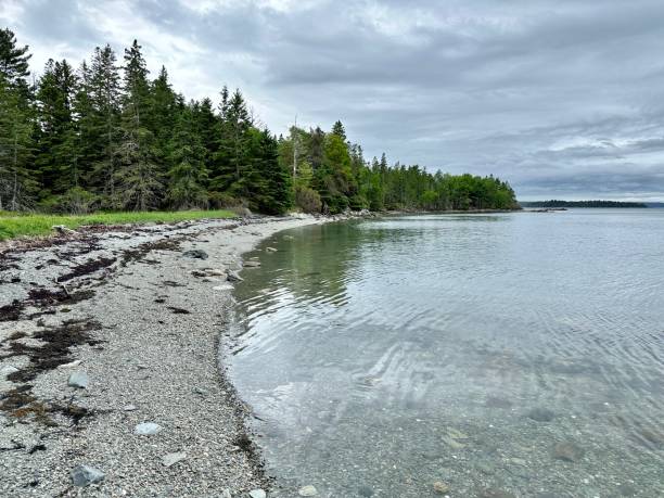 istock Indian Point Blagden Preserve, Mount Desert Island 2154938145