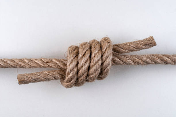 istock Double English knot 2154938307