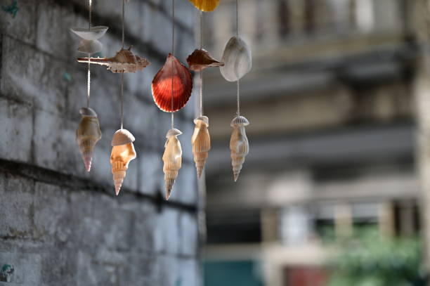 Explore the ancient origins of seashell wind chimes, originating in Southeast Asia, serving as both decorative items and protective talismans, emitting soothing sounds reminiscent of the ocean breeze.