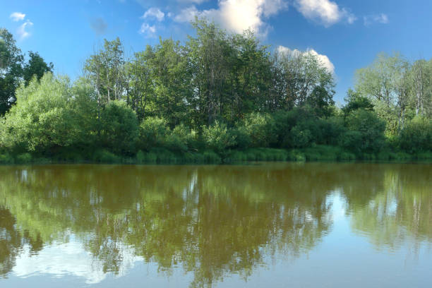 Reflection of the forest and sky in the lake.