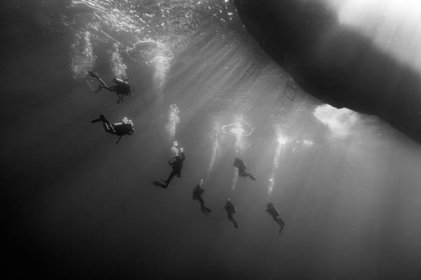 Serene image of an Asian woman swimming alone underwater.