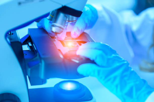 istock The scientist handed in blue gloves looking under a microscope to analyze the test sample. Medical Science Laboratory. 2154948886