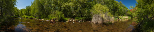 istock Desert oasis river panorama with deep green forest and blue sky 2154949415
