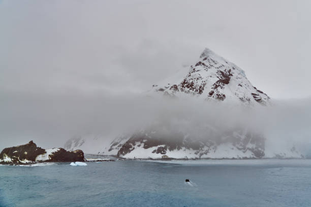 Elephant Island is world-renowned because it was the temporary home of Ernest Shackleton's fateful Endurance crew. Point Wild was named for Frank Wild, leader of the party from Shackleton's shipwrecked expedition which camped and managed to survive on the point for four and a half months until they were rescued on 30 August 1916.
