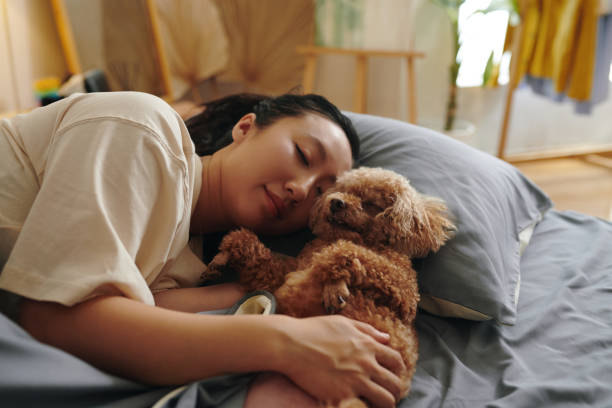 istock Woman Hugging Poodle Dog 2154949938