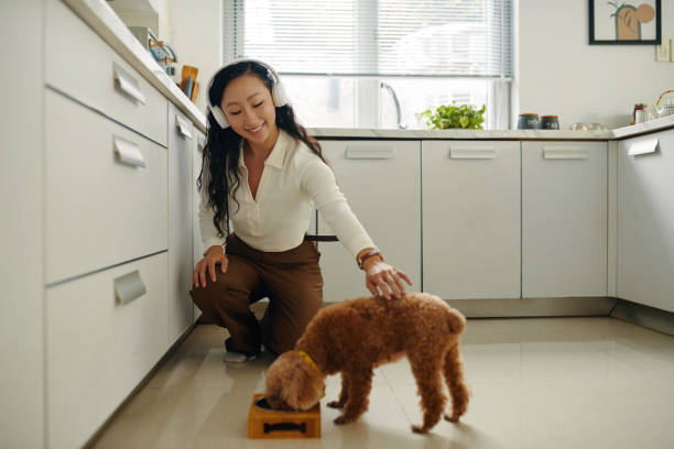 istock Woman Feeding Dog 2154949977