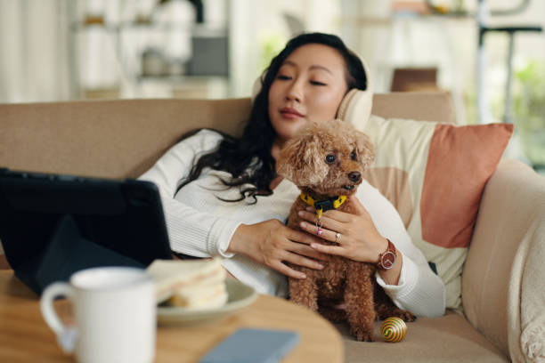 istock Relaxed Woman Petting Small Dog 2154949991