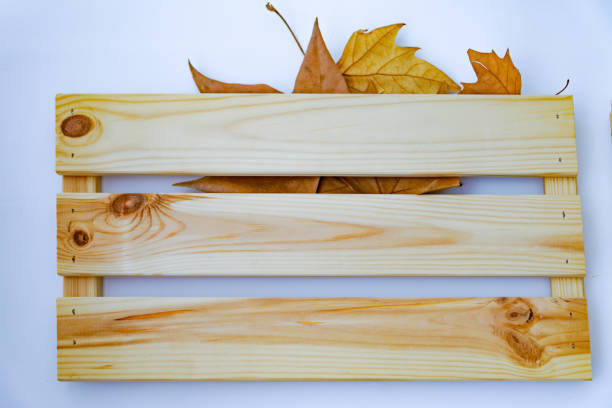 Fall leaves and firewood