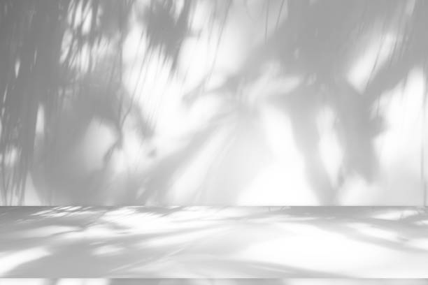 istock Wall interior background, studio and backdrops show products.with shadow leaf from window color white . background for text insertion and presentation product 2154952410