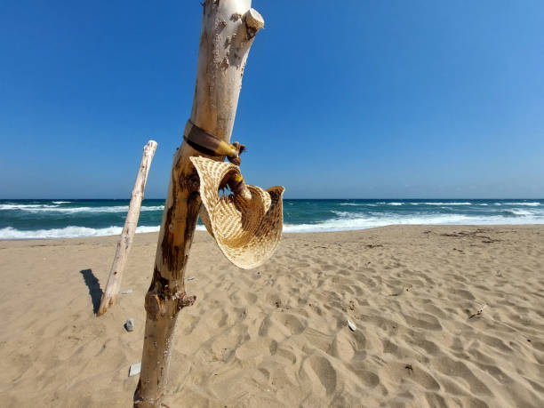 istock Hanging woman hat on a tree trunk on the beach 2154960422